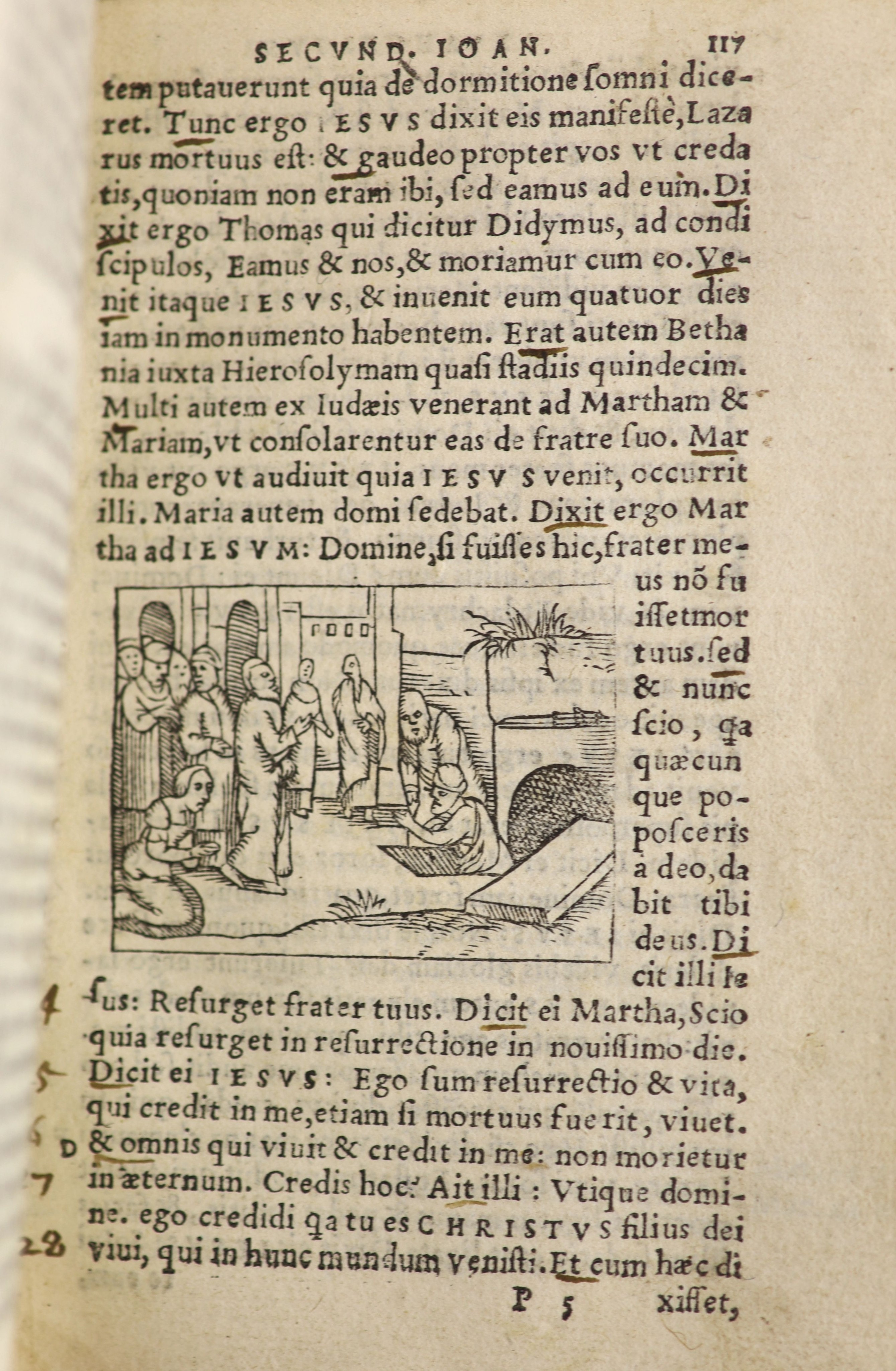 [Holy Bible] Novum Testamentum. Illustratum insignium rerum simularis ...